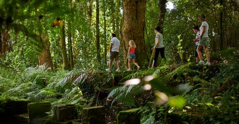 Nature Et Environnement Dax Nature Et Environnement Dax
