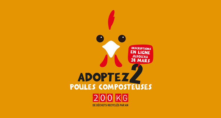 poule-actu