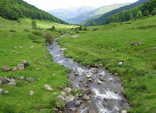 adour