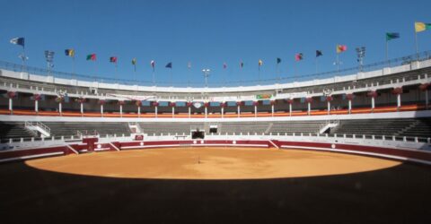 Vue des arènes de Dax au soleil