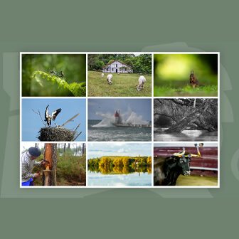 les-amis-photographes