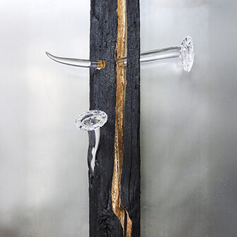 oeuvre artiste carrere corne en verre planté dans planche bois noire